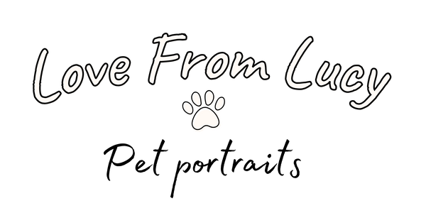 Love From Lucy Pet Portraits 